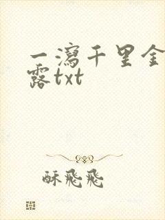 一泻千里金银花露txt