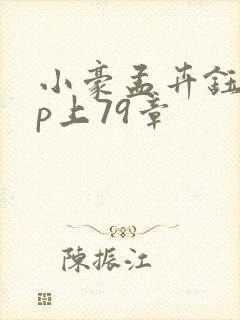 小豪孟卉钰慧三p上79章