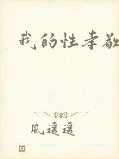 我的性孝敬封面