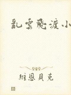 乱云飞渡小说