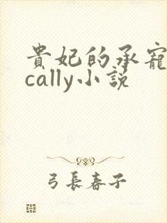 贵妃的承宠日常cally小说封面