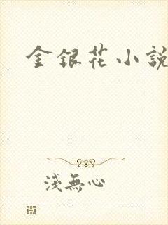 金银花小说乐可封面
