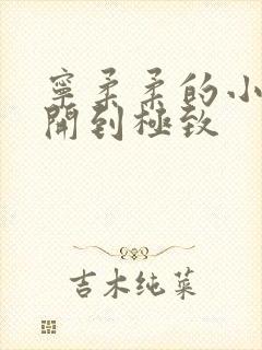 宁柔柔的小泬撑开到极致