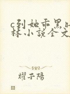 c到她乖黑暗森林小说全文阅读