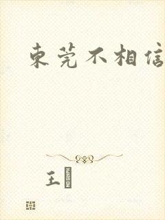 东莞不相信眼泪
