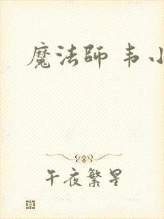 魔法师 韦小宝