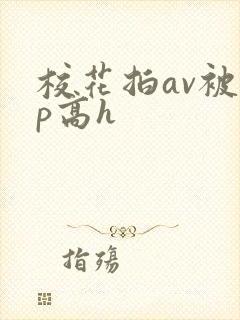 校花拍av被np高h