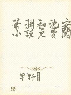萧渊和沈安安的小说免费阅读