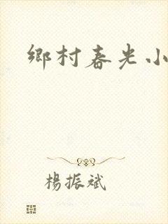 乡村春光小说