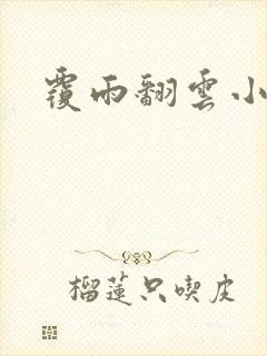 覆雨翻云小说