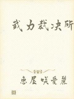 武力裁决所
