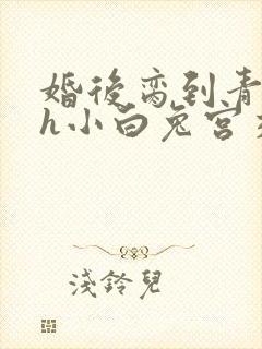 婚后脔到青梅哭h小白兔宫交h