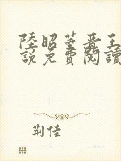 陆昭菱晋王的小说免费阅读封面