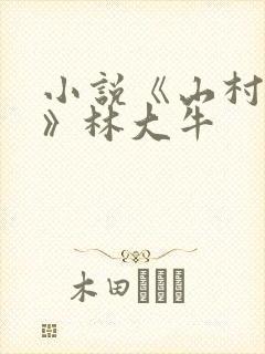 小说《山村情事》林大牛封面