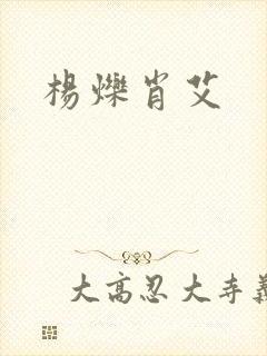 杨烁肖艾