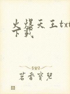 火爆天王txt下载
