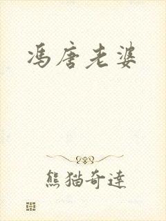 冯唐老婆封面