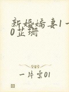 新婚娇妻1一40芷珊