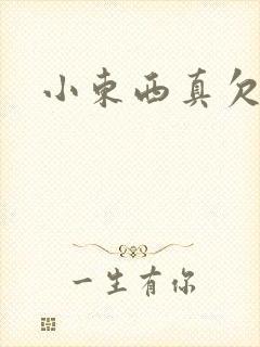 小东西真欠弄