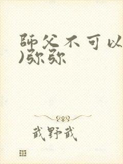 师父不可以(限)弥弥