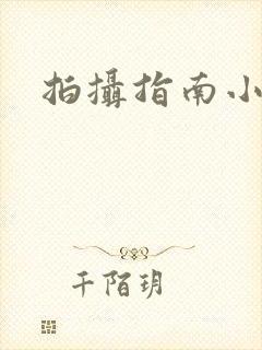拍摄指南小说