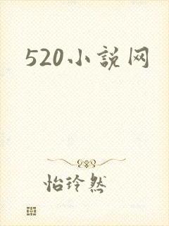 520小说网封面