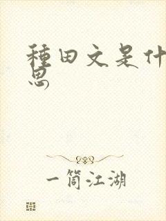 种田文是什么意思