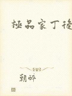 极品家丁后传