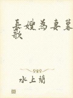 长嫂为妻暮色酒歌封面