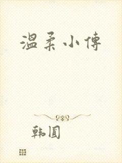 温柔小传封面