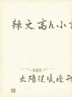 辣文高h小说