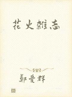 花火杂志