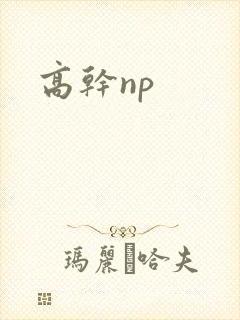 高干np