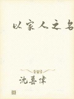 以家人之名小说