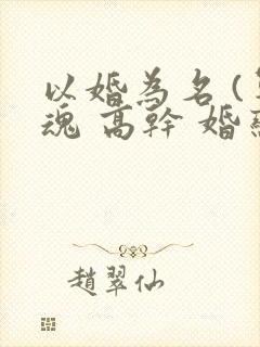 以婚为名 (军魂 高干 婚恋)