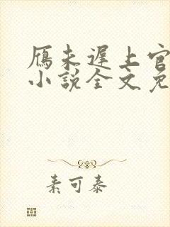 雁未迟上官穿越小说全文免费阅读