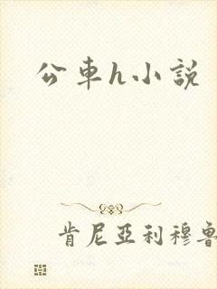 公车h小说