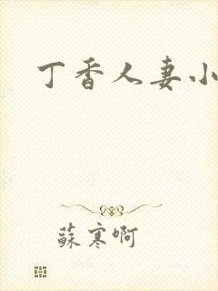 丁香人妻小说