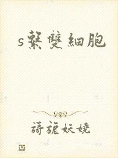 s系双细胞