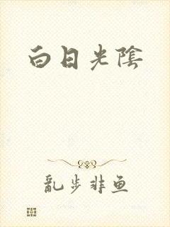 白日光阴封面