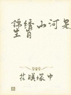 锦绣山河是什么生肖