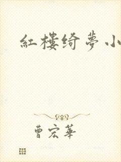 红楼绮梦小说封面