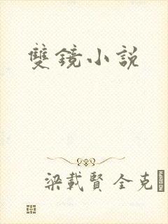 双镜小说