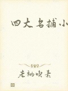 四大名捕小说
