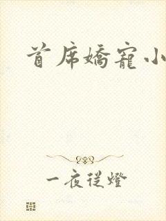 首席娇宠小情人