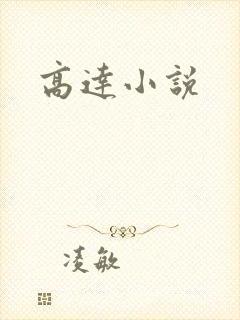 高达小说封面