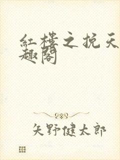 红楼之挽天倾笔趣阁