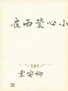 夜雨莹心小说
