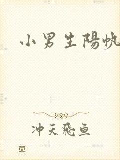 小男生阳帆