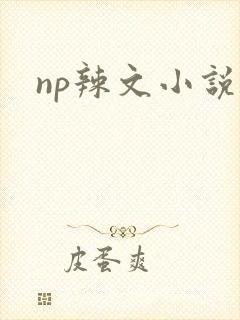np辣文小说封面